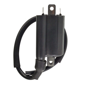 Rm Stator - External Ignition Coil - RM06163