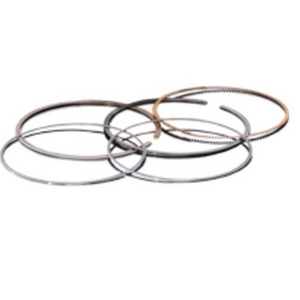 Pro-x Piston Ring Set 89.00 - 02.2576.200
