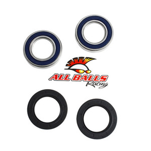 All Balls - Rear Wheel Bearing Kit - Both Wheels - 25-1116