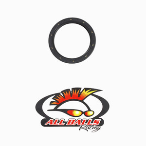 All Balls - Double Lipped Seal - 30-6218