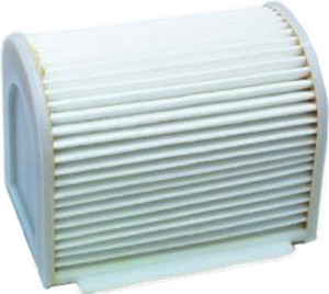 Hiflofiltro - Air Filter - HFA4901