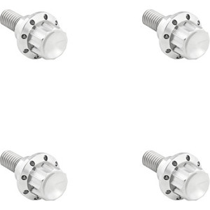 Arlen Ness - Bolt Kit Titanium 12pt  Windshield Polish - 300-809