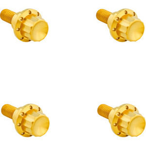 Arlen Ness - Bolt Kit Titanium 12pt  Windshield Gold - 300-811