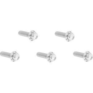 Arlen Ness - Bolt Kit Titanium 12pt Derby Cover  Polish - 300-923