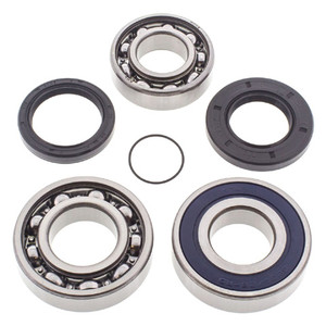 All Balls Racing - Snowmobile Chain Case Bearing & Seal Kit - 14-1060