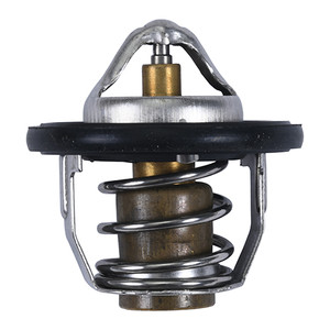 All Balls Racing - Thermostat Polaris - 16-3005