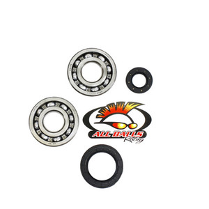 All Balls Racing - Allballs Crank Bearing And Seal Kit - 24-1030