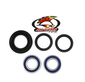 All Balls Racing - Rear Wheel Bearing Kit - Both Wheels - 25-1029