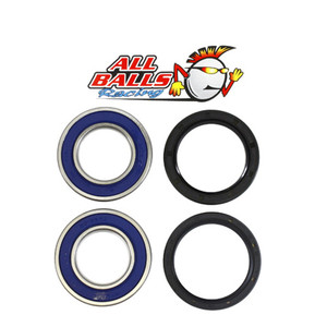 All Balls Racing - Rear Wheel Bearing Kit - Both Wheels - 25-1032