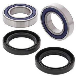 All Balls Racing - Rear Wheel Bearing Kit - Both Wheels - 25-1124