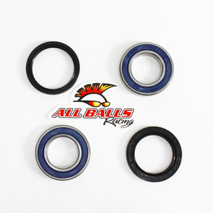 All Balls Racing - Rear Wheel Bearing Kit - Both Wheels - 25-1126