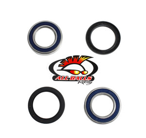 All Balls Racing - Rear Wheel Bearing Kit - Both Wheels - 25-1132