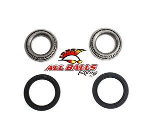 All Balls Racing - Rear Wheel Bearing Kit - Both Wheels - 25-1151