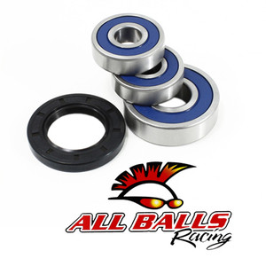 All Balls Racing - Wheel Bearing Kit - 25-1349