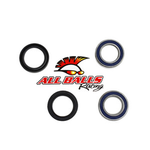 All Balls Racing - Rear Wheel Bearing Kit - Both Wheels - 25-1364
