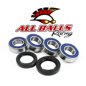All Balls Racing - Wheel Bearing Kit - 25-1381