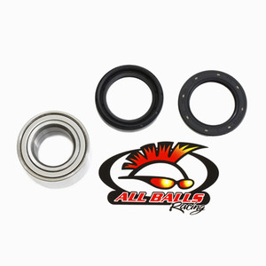 All Balls Racing - Wheel Bearing Kit - 25-1538