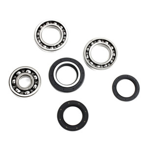 All Balls Racing - Differential Bearing Kit - 25-2008