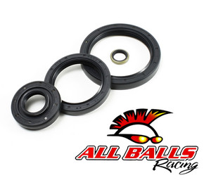 All Balls Racing - Differential Seal Kit - 25-2066-5