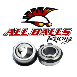 All Balls Racing - Swing Arm Bearing Kit - 28-1139