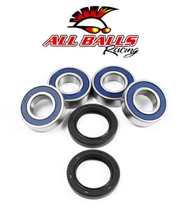 All Balls Racing - Rear Independent Suspension Kit - 50-1079