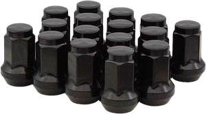 Sedona - 10mmx1.25 Tapered Lug Nuts Black 60  14mm Head 16/pk - DFC-54010B