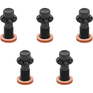 Arlen Ness - Bolt Banjo 5-pk 12 Point 3/8-24 Black F/r Mc 00-07 Touring - 300-855