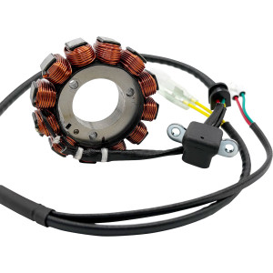 Rick's Motorsport Electric - Stator Ktm - 21-0101H