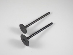 Shindy - Engine Valve Set Trx250ex (01-08) - 07-026