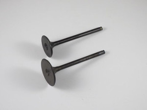 Shindy - Engine Valve Set Trx450r (04-05) - 07-028