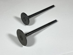 Shindy - Engine Valve Set Trx250te/tm (02-20) - 07-032