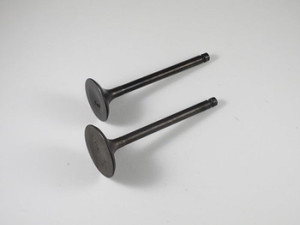 Shindy - Engine Valve Set Yfm350a/fa/fg/g (04-11) - 07-308