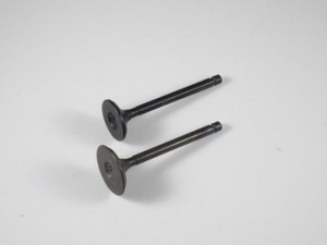 Shindy - Engine Valve Set Yfm125/g (04-11) / Yfa1 - 07-310