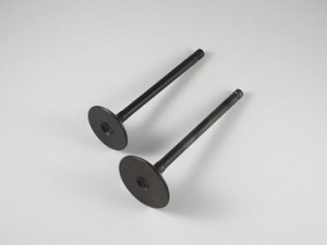 Shindy - Engine Valve Set Sportsman570 (14-17) - 07-403