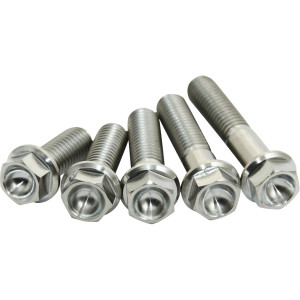 Scar Racing - Bolt M8x25 Ti