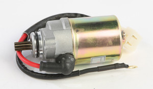 Ricks - Starter Motor