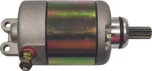 Ricks - Starter Motor