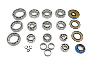 Includes all the seals needed to rebuild the Rear Differential