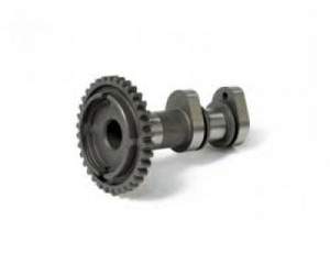 <p>Intake Valve by Hot Cams®. This top-grade product is expertly made in compliance with stringent industry standards to offer a fusion of a well-balanced design and high level of craftsmanship. Manufactured from industry-leading materials using up-to-date equipment, it ensures everlasting reliability and enduring value. This product is distinguished by total quality assurance, unsurpassed by anybody else. Sold by 1 piece.</p>