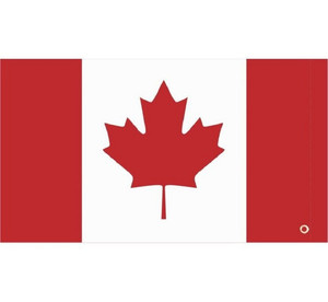 Kawasaki Mule / Teryx Canadian UTV Whip Flag - DragonFire Racing