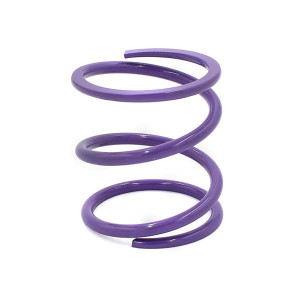 Polaris RZR XP/XP4 1000 Primary Clutch Spring Purple - POLHD2 - EPI - EPI