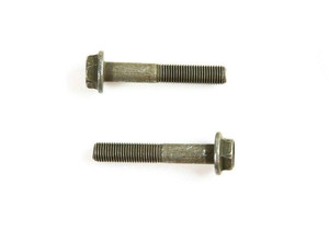 Polaris RZR Shock Suspension Mounting Bolt (M10X60) (PAIR) - Quad Logic