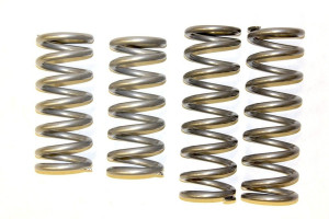 Polaris RZR 50" Progressive Spring Kit - UTV Inc