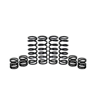 Polaris General 1000 (2-Seat Models only) Stage 1 Spring Kit W.E. Shock - Zbros Racing