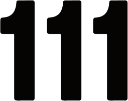 Factory Effex - Mini Pro Number 1 - Black - 5" - Pro Numbers - 03-0271