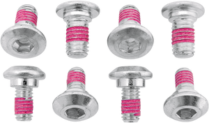 Bolt - Rotor Bolt - Suzuki/Kawasaki - 8-Pack - Rotor Bolt Kit - 2009-SKRTR Bolt - Rotor Bolt - Suzuki/Kawasaki - 8-Pack - Rotor Bolt Kit - 2009-SKRTR