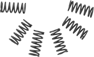 Ebc - Clutch Springs - Clutch Springs - CSK2