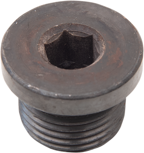 Daytona Twin Tec Llc - Hex Socket O2 Sensor Plug - 18mm x 1.5mm - O2 Sensor Plug - 115002 Daytona Twin Tec Llc - Hex Socket O2 Sensor Plug - 18mm x 1.5mm - O2 Sensor Plug - 115002