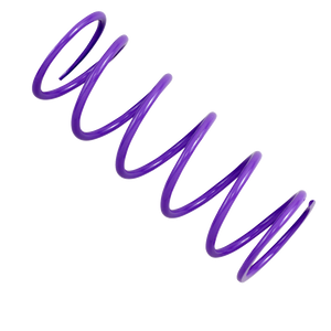 Epi - Primary Spring - Primary Clutch Spring - DRS17