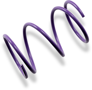 Epi - Team Secondary Spring - Secondary Clutch Spring - PDS-16